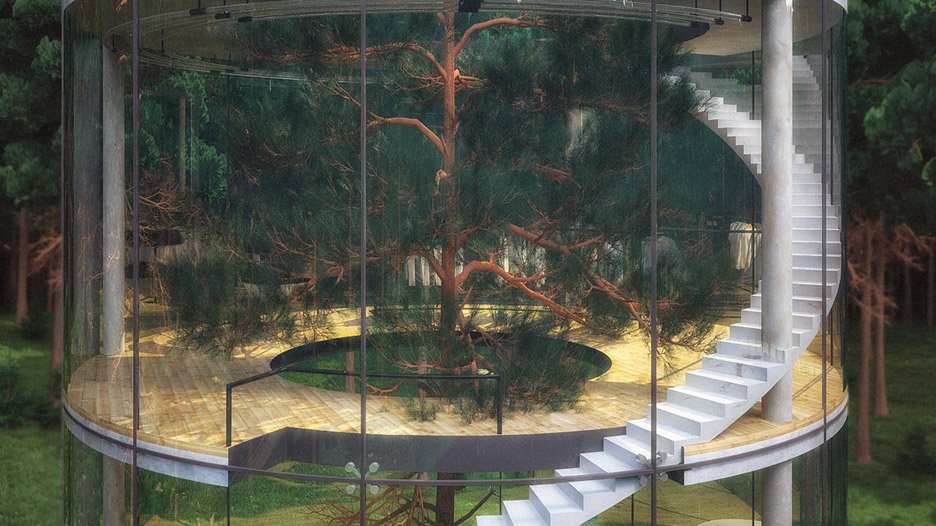 tree-house-aibek-almassov-forest-architecture_dezeen_936_3
